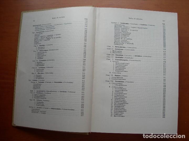 Libros de segunda mano: TRATADO DE ZOOLOG&Iacute;A / 2 TOMOS / HUMBERTO D&Aacute;NCONA - Foto 13