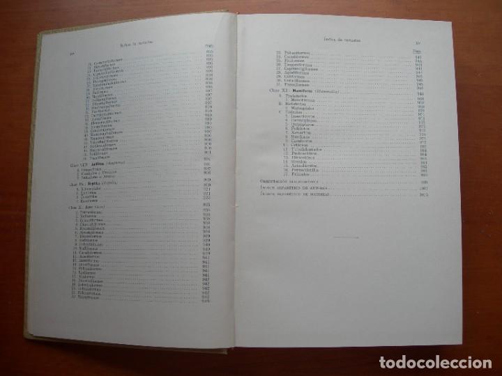 Libros de segunda mano: TRATADO DE ZOOLOG&Iacute;A / 2 TOMOS / HUMBERTO D&Aacute;NCONA - Foto 14