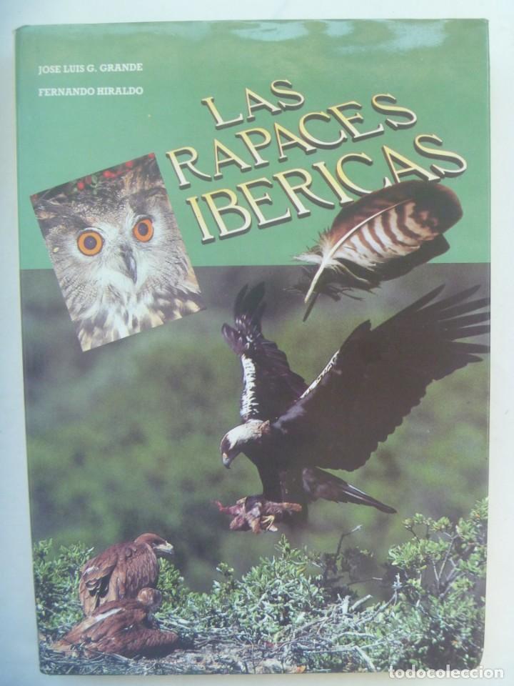 Libros de segunda mano: ENORME LIBRO : LAS RAPACES IBERICAS . DE G. GRANDE Y F. HIRALDO. CENTRO FOTOGRAFIA NATURALEZA, 1987