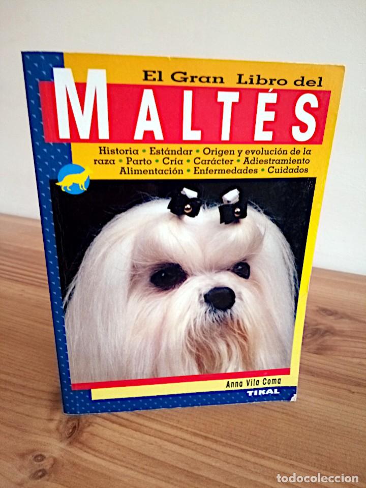 Libros de segunda mano: EL GRAN LIBRO DEL MALTES. VILA COMA, ANNA. TIKAL. ED. 2003 - Foto 1