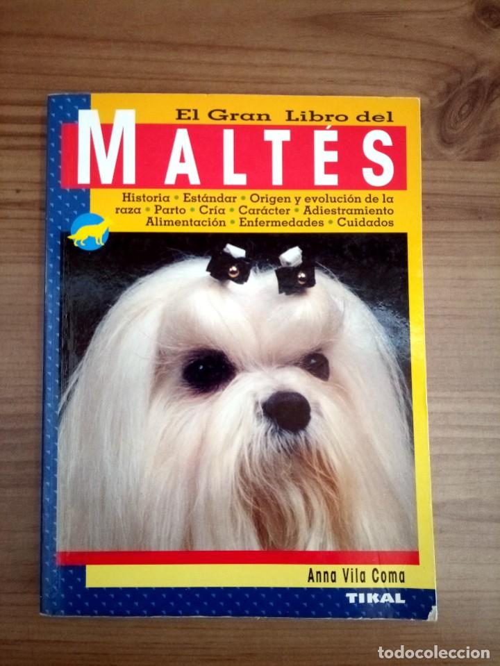 Libros de segunda mano: EL GRAN LIBRO DEL MALTES. VILA COMA, ANNA. TIKAL. ED. 2003 - Foto 2