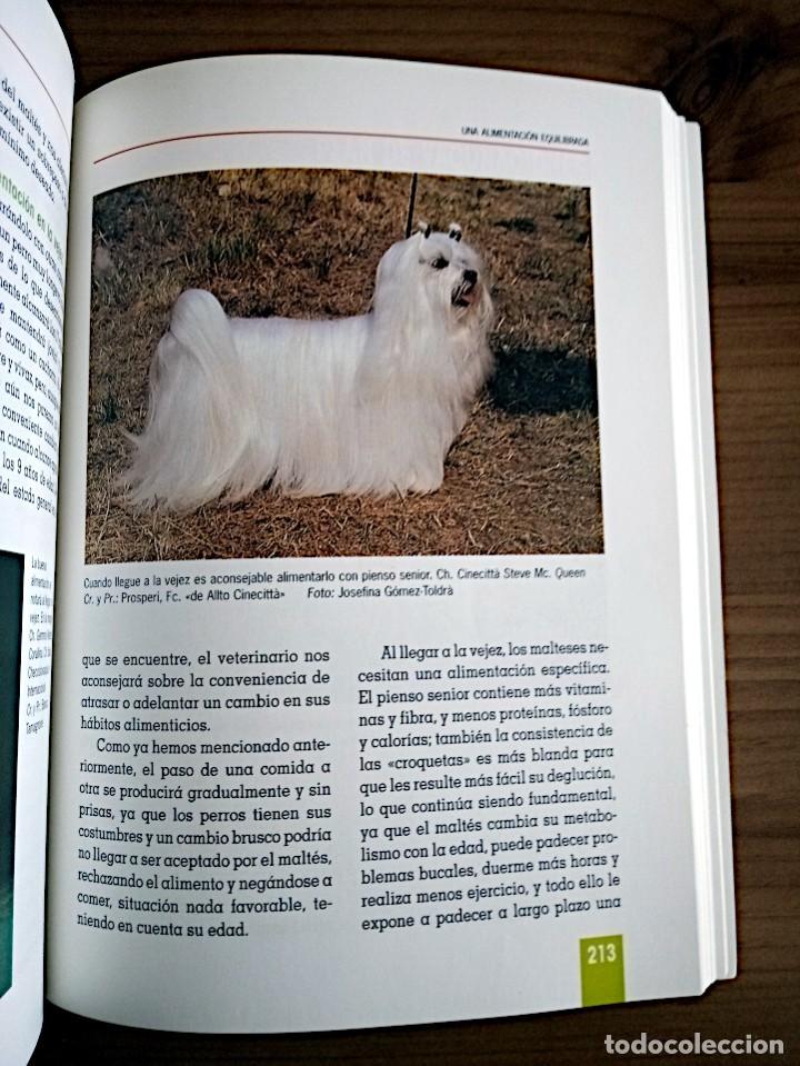 Libros de segunda mano: EL GRAN LIBRO DEL MALTES. VILA COMA, ANNA. TIKAL. ED. 2003 - Foto 10