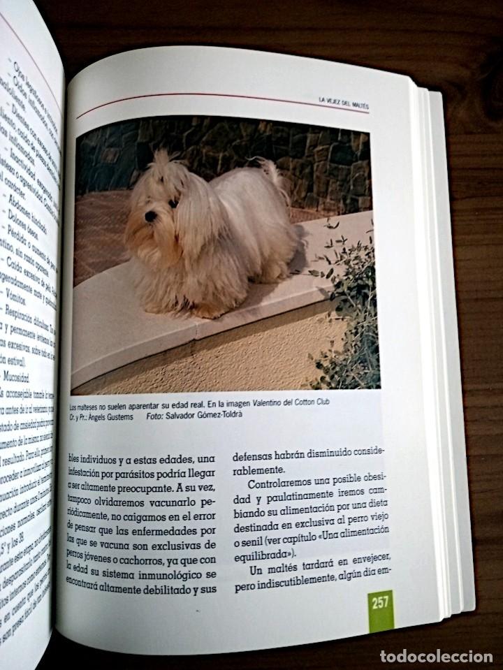 Libros de segunda mano: EL GRAN LIBRO DEL MALTES. VILA COMA, ANNA. TIKAL. ED. 2003 - Foto 11