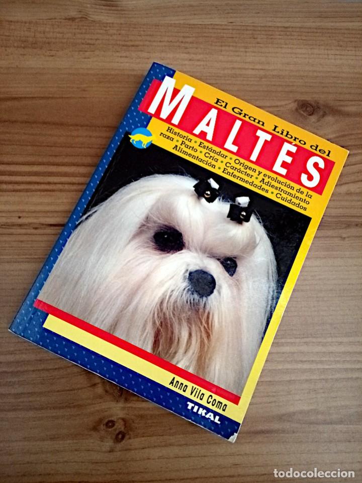 Libros de segunda mano: EL GRAN LIBRO DEL MALTES. VILA COMA, ANNA. TIKAL. ED. 2003 - Foto 16