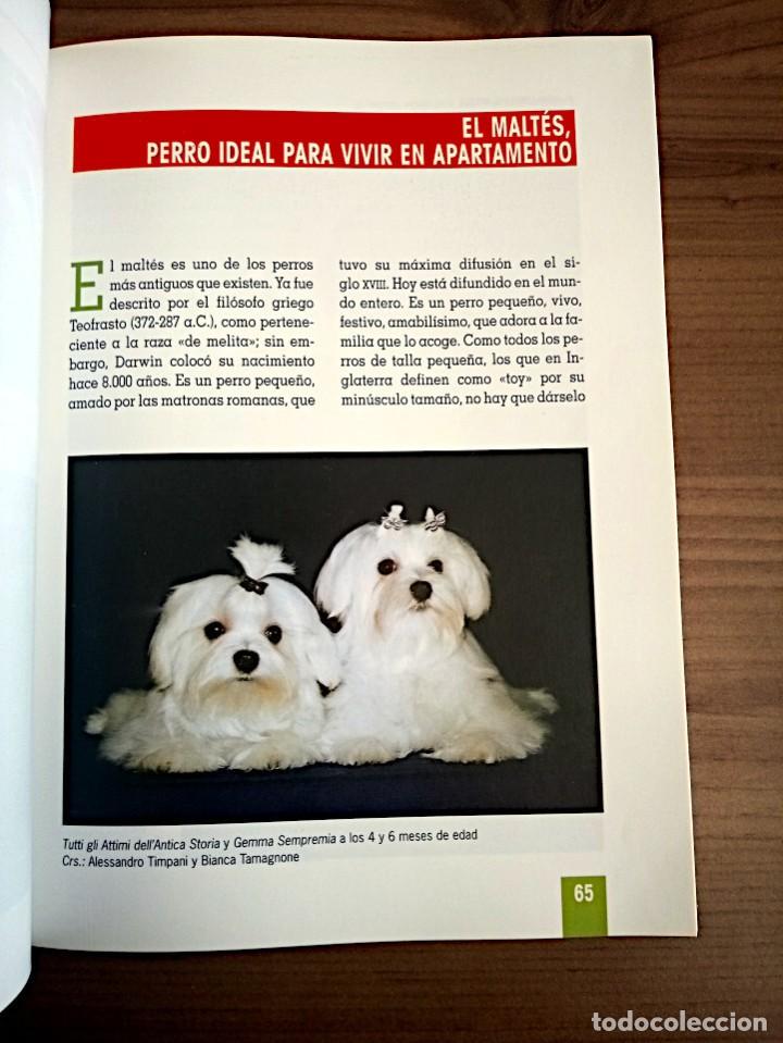 Libros de segunda mano: EL GRAN LIBRO DEL MALTES. VILA COMA, ANNA. TIKAL. ED. 2003 - Foto 7
