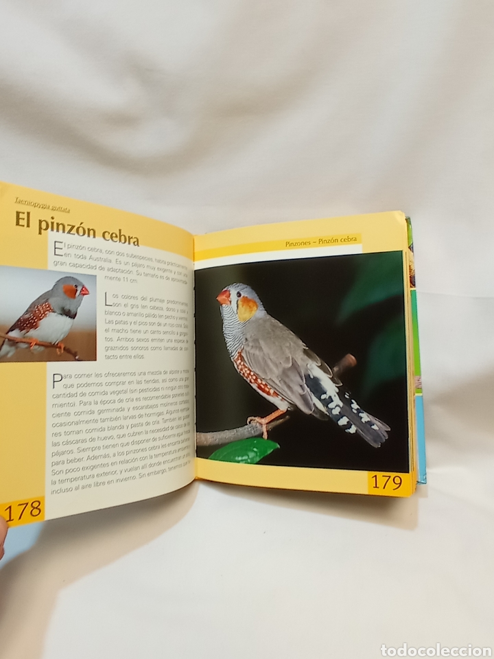Libros de segunda mano: GU&Iacute;A DE P&Aacute;JAROS DOM&Eacute;STICOS. KOMET - Foto 2