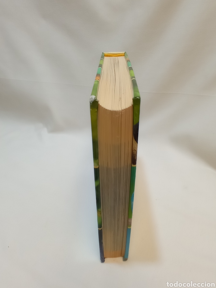 Libros de segunda mano: GU&Iacute;A DE P&Aacute;JAROS DOM&Eacute;STICOS. KOMET - Foto 3