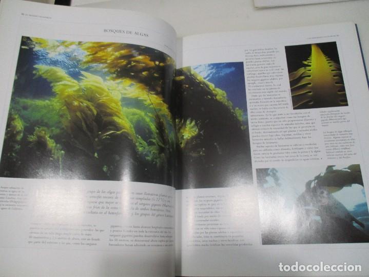Libros de segunda mano: ROBERT E. STEVENSON ,DR. FRANK H TALBOT Oceanos W9595 - Foto 4