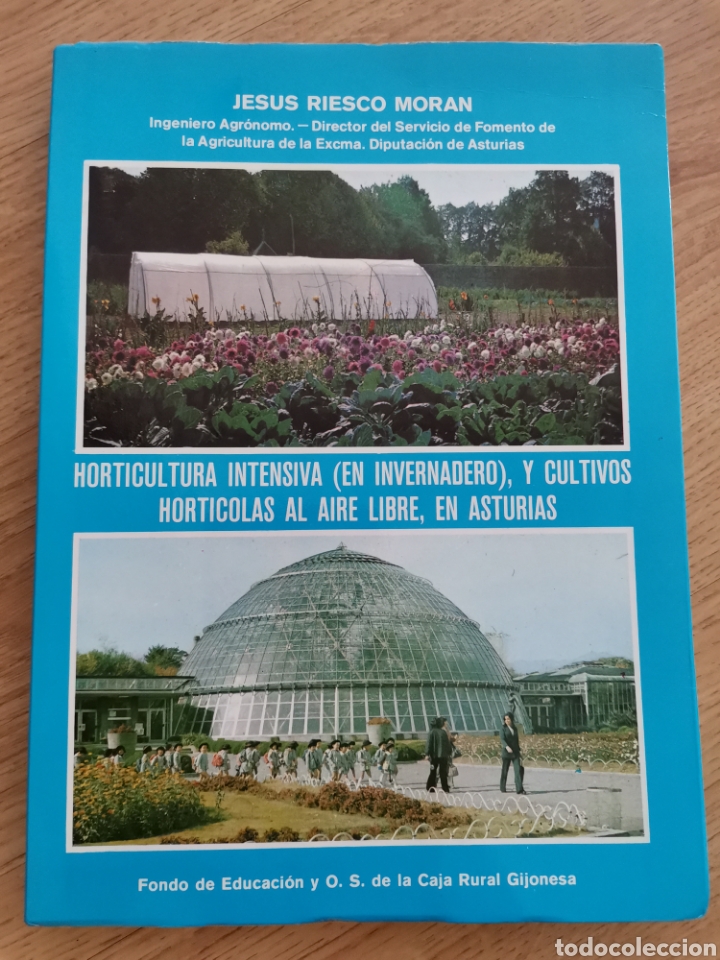 Gebrauchte B&uuml;cher: 3.1 Jes&uacute;s Riesco Mor&aacute;n. Horticultura intensiva en invernadero y cultivos horticolas Asturias aire
