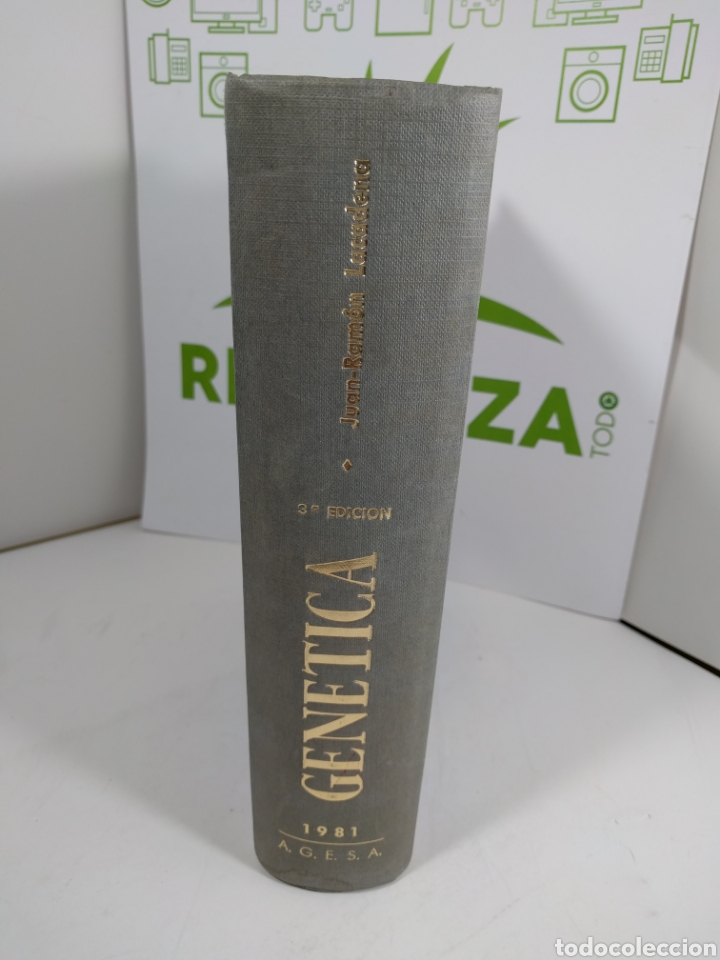 Libros de segunda mano de ciencias: Gen&eacute;tica. 3ra edici&oacute;n. Juan Ram&oacute;n Lacadena. - Foto 4