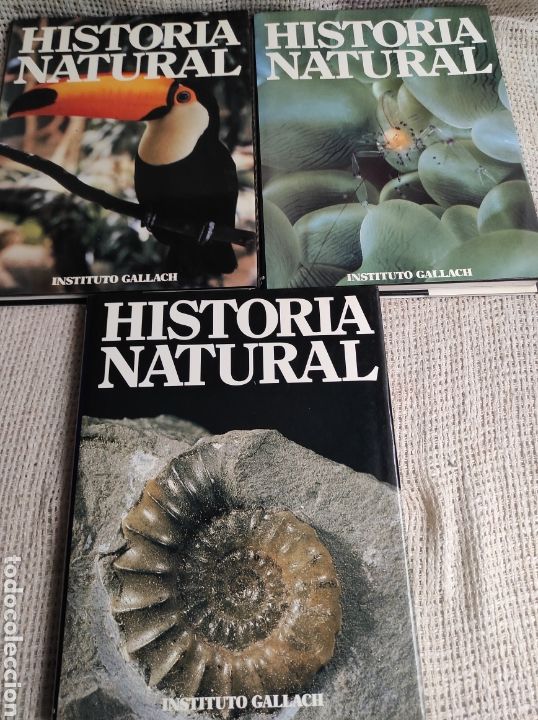 Libros de segunda mano: HISTORIA NATURAL , TOMOS 2, 5, 12 INSTITUTO GALLACH - Foto 1