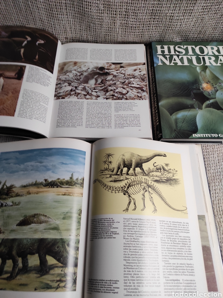 Libros de segunda mano: HISTORIA NATURAL , TOMOS 2, 5, 12 INSTITUTO GALLACH - Foto 2