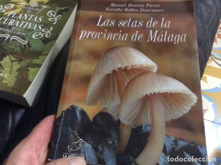 Gebrauchte B&uuml;cher: Las setas de la provincia de M&aacute;laga Editorial La Serran&iacute;a, S.L. Dedicado por autor
