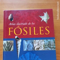 Libros de segunda mano: ATLAS ILUSTRADO DE LOS FOSILES - SUSAETA - TAPA DURA (N)