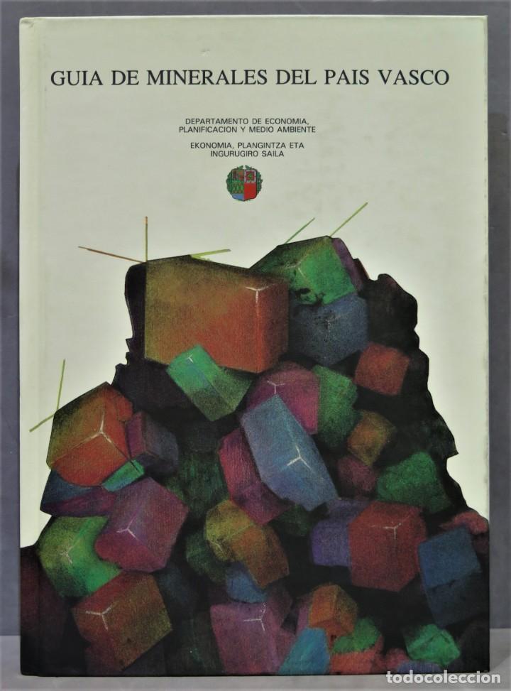 Libros de segunda mano: GUIA DE MINERALES DEL PAIS VASCO - Foto 1