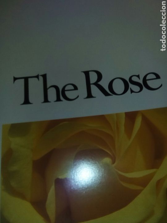 Libros de segunda mano: Rosas con magn&iacute;ficas fotograf&iacute;as - Foto 2