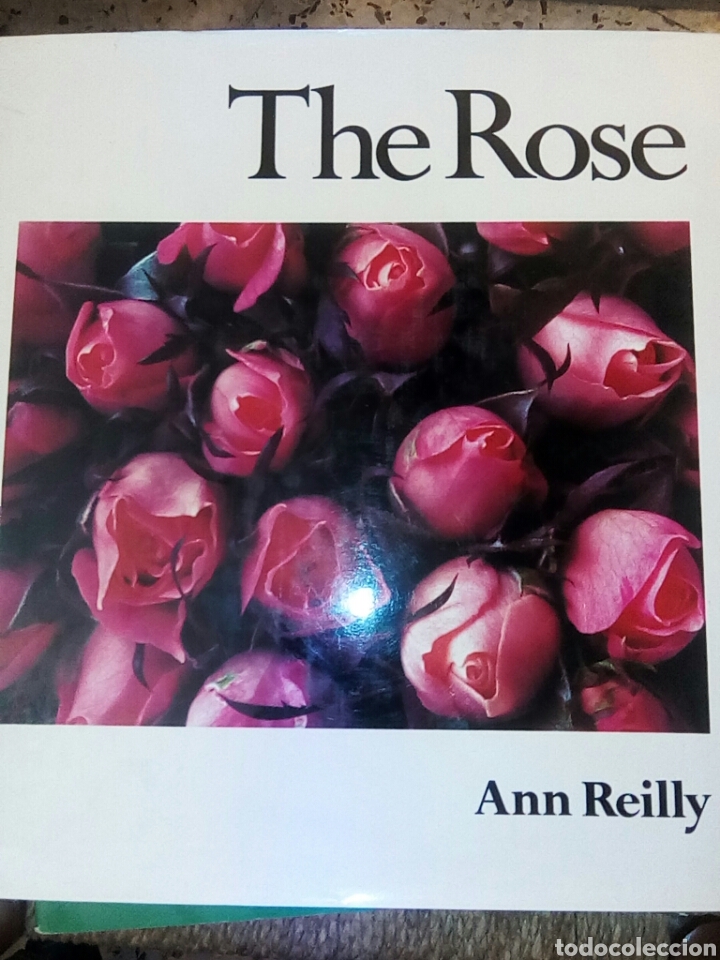 Libros de segunda mano: Rosas con magn&iacute;ficas fotograf&iacute;as - Foto 1