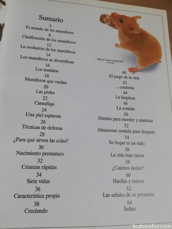 Libros de segunda mano: LOS MAM&Iacute;FEROS (STEVE PARKER) - Foto 3