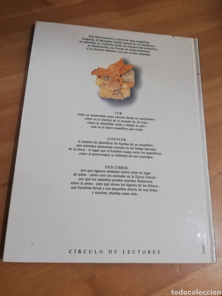 Libros de segunda mano: LOS MAM&Iacute;FEROS (STEVE PARKER) - Foto 11