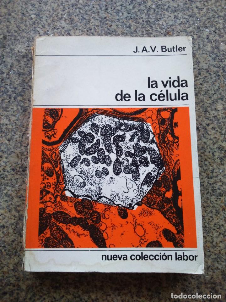 Libros de segunda mano: LA VIDA DE LA CELULA -- BUTLER -- LABOR 1967 -- - Foto 1