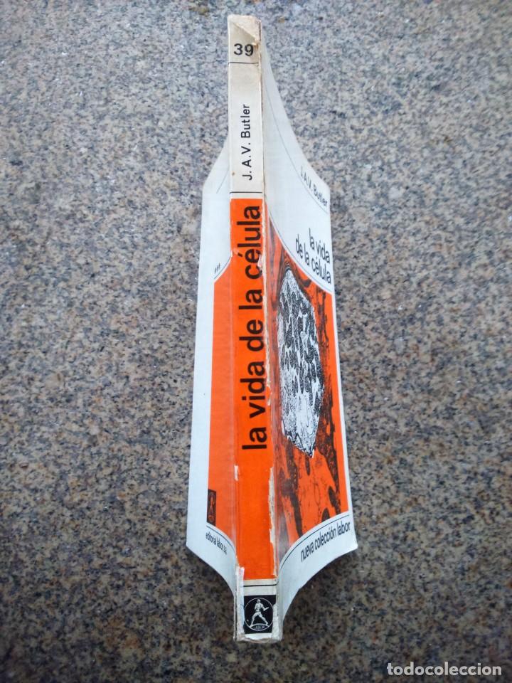 Libros de segunda mano: LA VIDA DE LA CELULA -- BUTLER -- LABOR 1967 -- - Foto 4