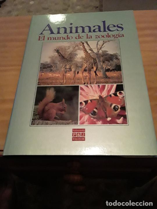 Libri di seconda mano: ANIMALES.EL MUNDO DE LA ZOOLOGIA.PLAZA&JANES.1985.160 PAGINAS.