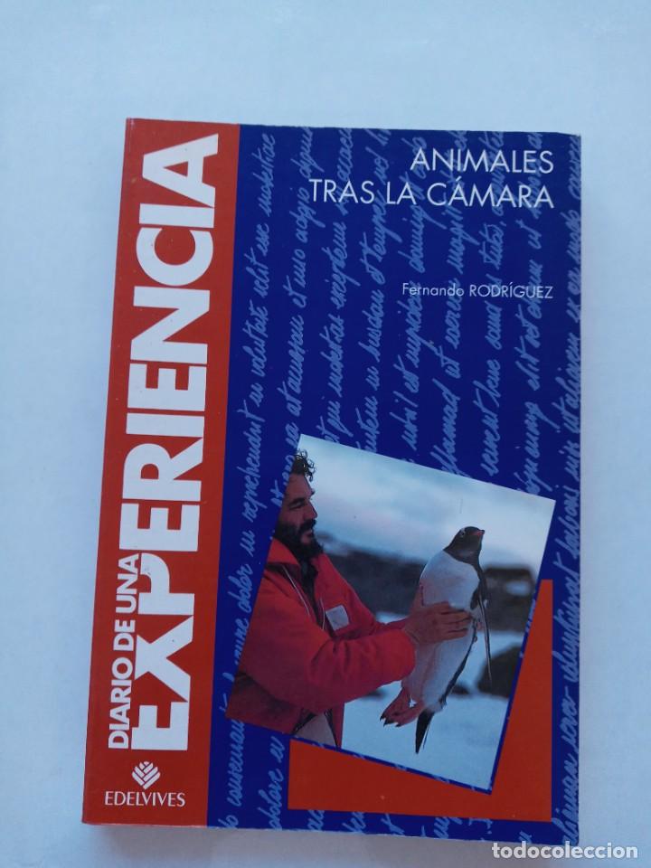 Libros de segunda mano: ANIMALES TRAS LA CAMARA FERNANDO L. RODRIGUEZ - Foto 1