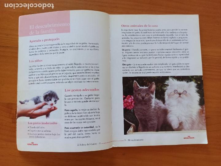 Libros de segunda mano: EL LIBRO DEL GATITO - ROYAL CANIN (8I) - Foto 2