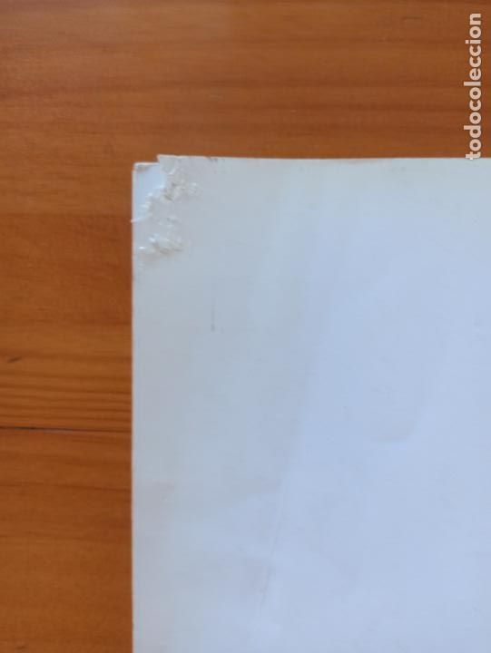 Libros de segunda mano: EL LIBRO DEL GATITO - ROYAL CANIN (8I) - Foto 5