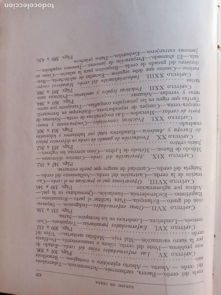 Libros de segunda mano: EXPLOTACION E INDUSTRIALIZACION DEL CERDO. SANTOS ARAN. 4&ordf; EDICION. - Foto 6