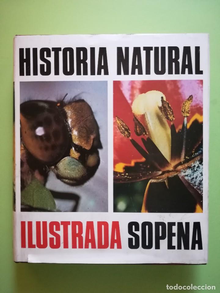 Libros de segunda mano: Historia natural ilustrada Sopena 1975 *- - Foto 1