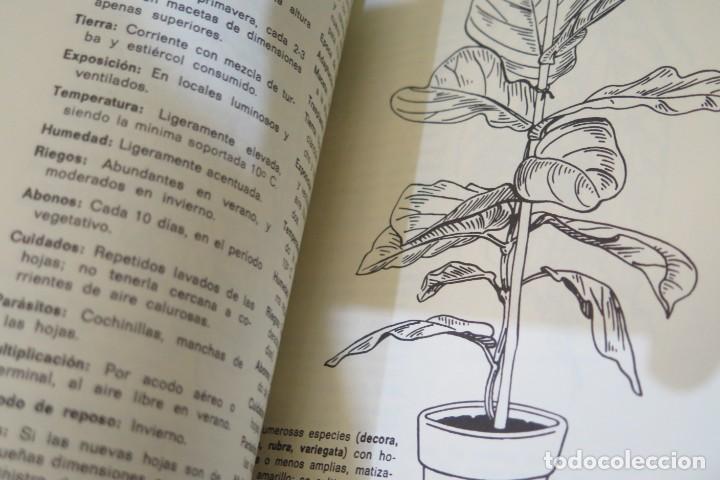 Libros de segunda mano: LAS PLANTAS DE INTERIORES. FAUSTO GORINI - Foto 2