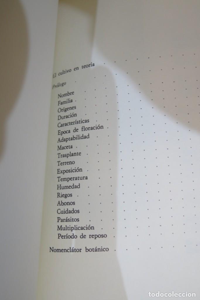 Libros de segunda mano: LAS PLANTAS DE INTERIORES. FAUSTO GORINI - Foto 3