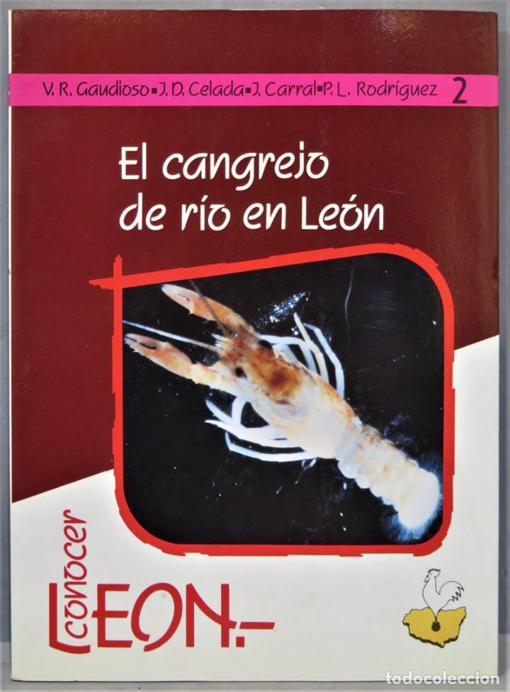 Libros de segunda mano: EL CANGREJO DE RIO EN LEON - Foto 1