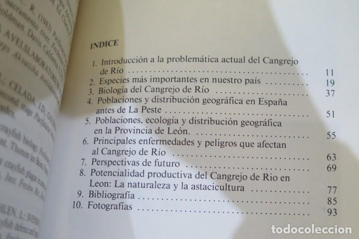 Libros de segunda mano: EL CANGREJO DE RIO EN LEON - Foto 2