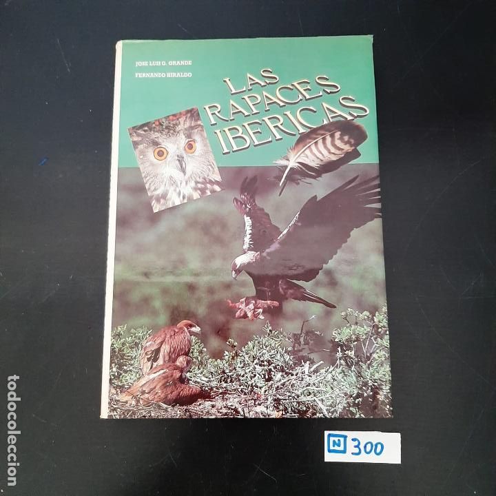 Libros de segunda mano: Las rapaces ib&eacute;ricas - Foto 1