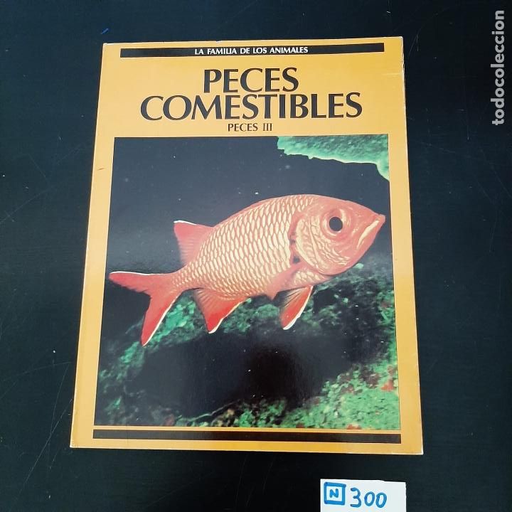 Libros de segunda mano: Peces comestibles - Foto 1
