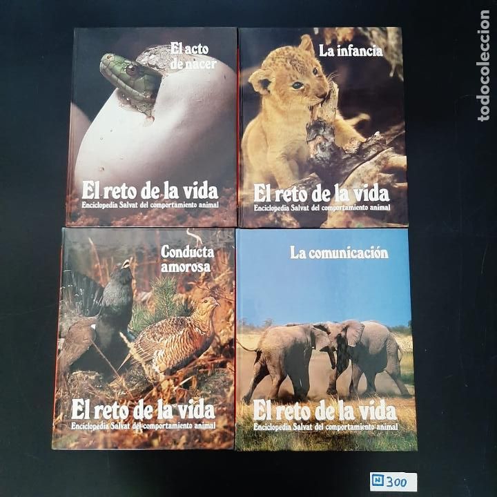 Libros de segunda mano: El reto de la vida - Foto 1