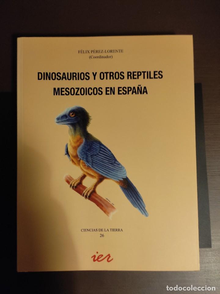 Libros de segunda mano: LIBRO DINOSAURIOS Y OTROS REPTILES MESOZOICOS DE ESPA&Ntilde;A - Foto 1