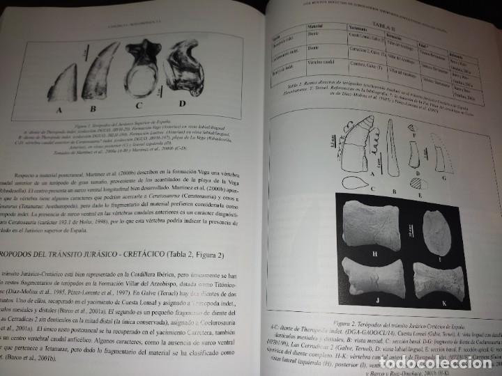 Libros de segunda mano: LIBRO DINOSAURIOS Y OTROS REPTILES MESOZOICOS DE ESPA&Ntilde;A - Foto 2