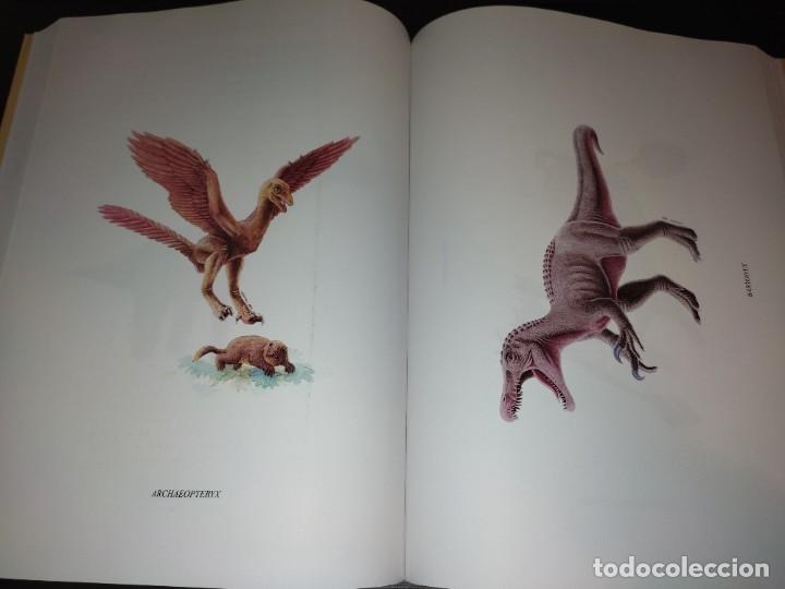 Libros de segunda mano: LIBRO DINOSAURIOS Y OTROS REPTILES MESOZOICOS DE ESPA&Ntilde;A - Foto 3