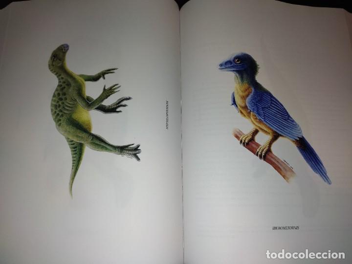 Libros de segunda mano: LIBRO DINOSAURIOS Y OTROS REPTILES MESOZOICOS DE ESPA&Ntilde;A - Foto 4
