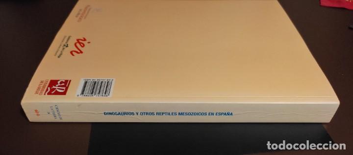 Libros de segunda mano: LIBRO DINOSAURIOS Y OTROS REPTILES MESOZOICOS DE ESPA&Ntilde;A - Foto 5