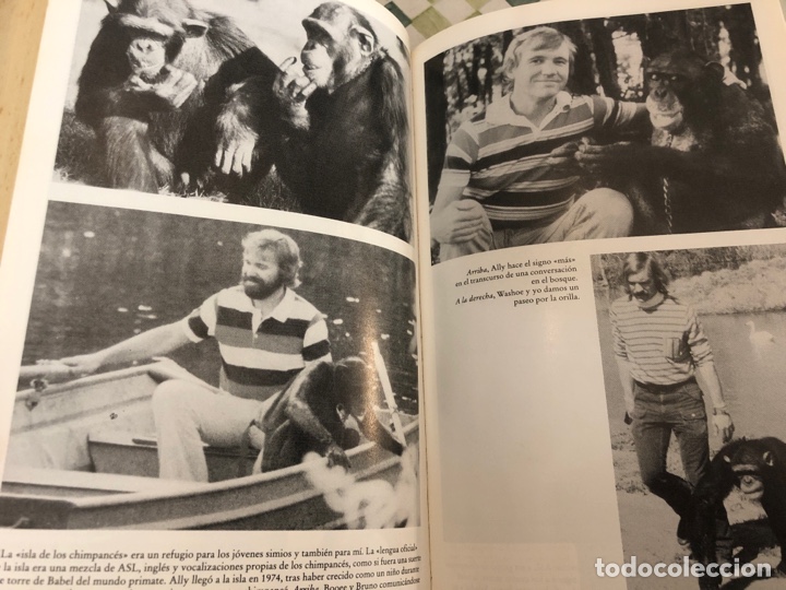 Libros de segunda mano: PRIMOS HERMANOS ROGER FOUTS - Foto 3