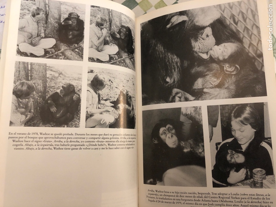 Libros de segunda mano: PRIMOS HERMANOS ROGER FOUTS - Foto 5