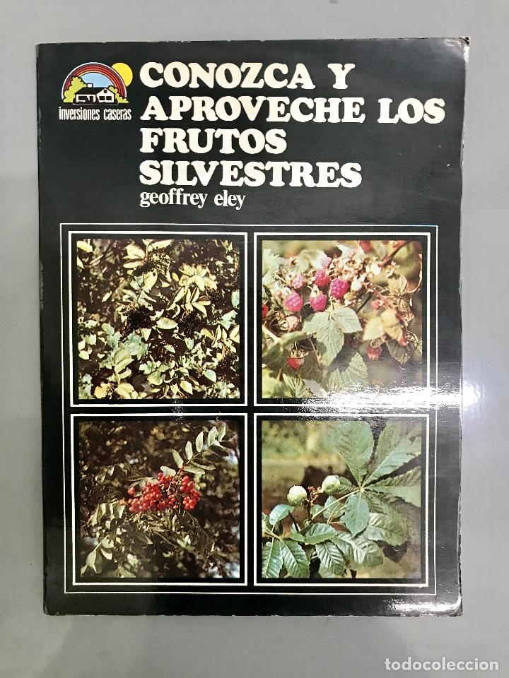 Libros de segunda mano: CONOZCA Y APROVECHE LOS FRUTOS SILVESTRES. - Foto 1
