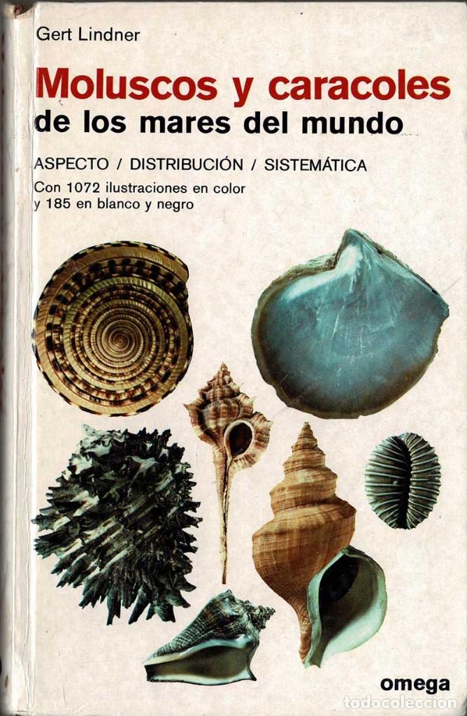 Libros de segunda mano: Moluscos y caracoles de los mares del mundo - Gert Lindner - Foto 1