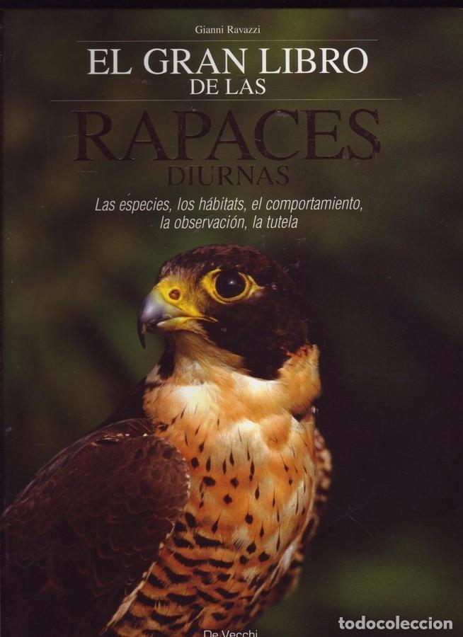 Libros de segunda mano: EL GRAN LIBRO DE LAS RAPACES DIURNAS. GIANNI RAVAZZI, ED. DE VECCHI (2007. - Foto 1