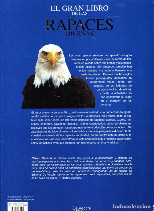 Libros de segunda mano: EL GRAN LIBRO DE LAS RAPACES DIURNAS. GIANNI RAVAZZI, ED. DE VECCHI (2007. - Foto 2