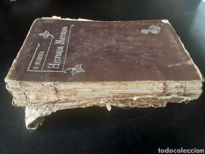 Libros de segunda mano: Historia natural. -E. Ribera- - Foto 2